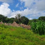 Village Bédik, Pays Bassari, Sénégal