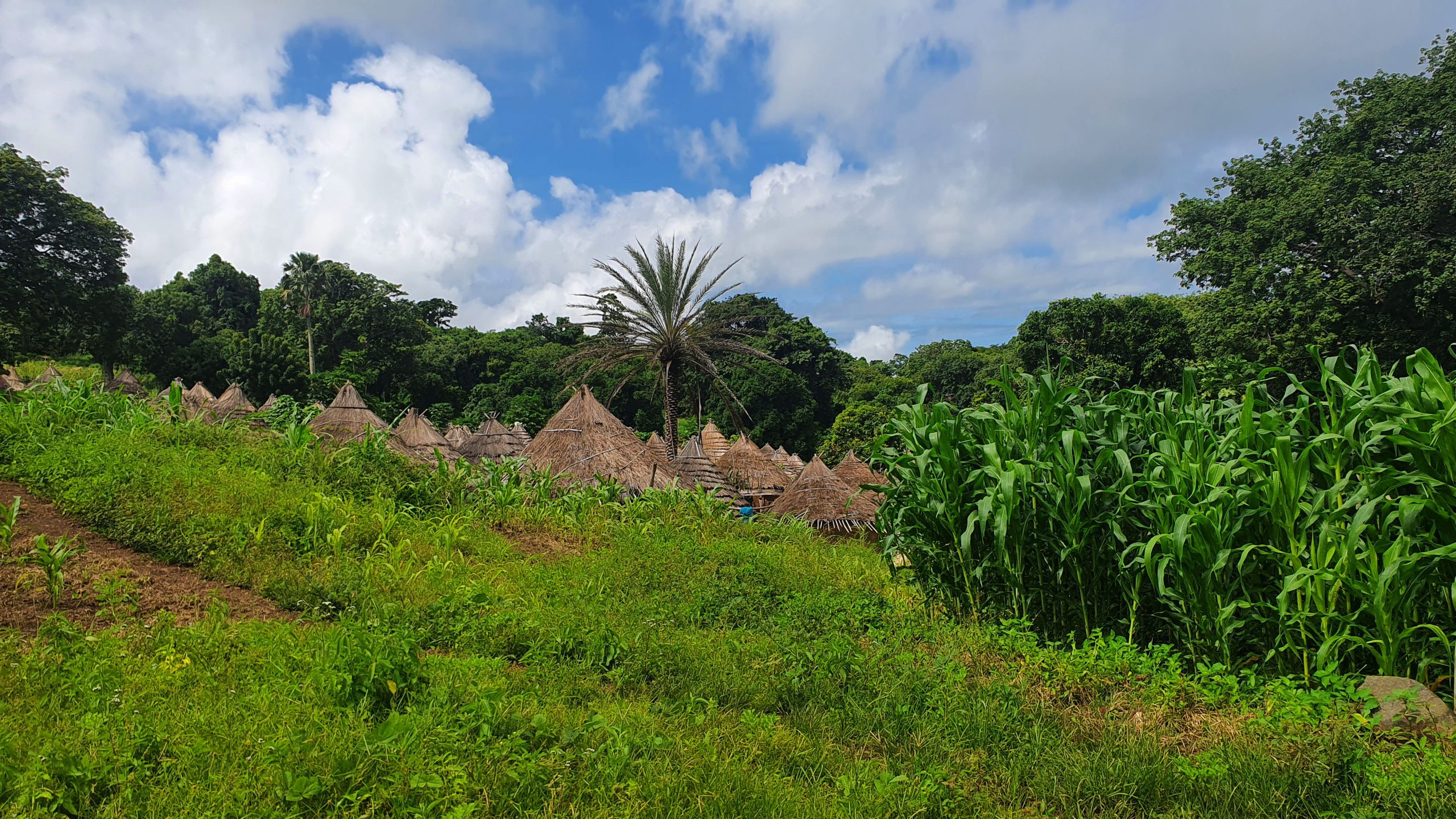 Village Bédik, Pays Bassari, Sénégal